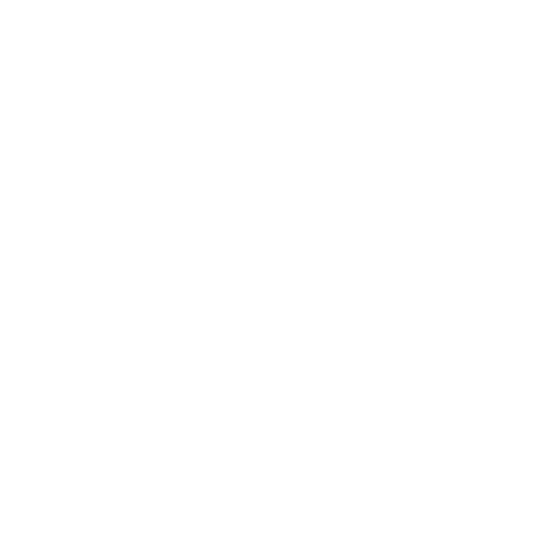 Wide international network